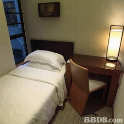 逸东轩豪华住寓 灵活多样的长短住宿服务