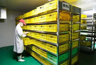 揭秘和善园中央厨房 日产20多吨馅料的现代化食品工厂与人性化员工住宿服务